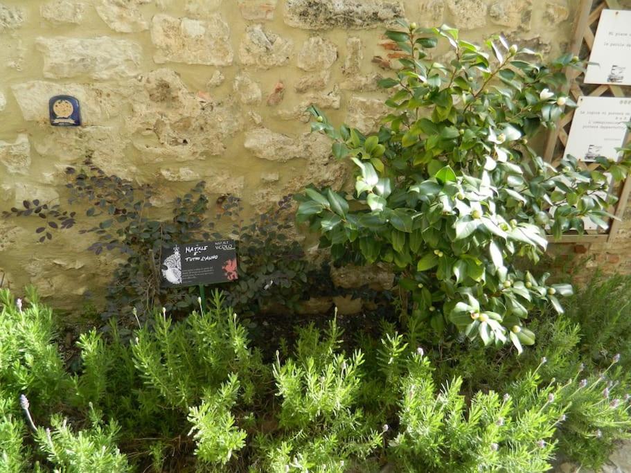 Casa Dell'Oliveto "Parcheggio Gratuito" Apartment Narni Bagian luar foto