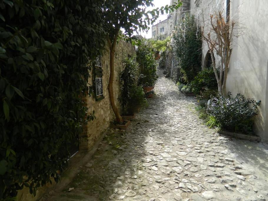 Casa Dell'Oliveto "Parcheggio Gratuito" Apartment Narni Bagian luar foto