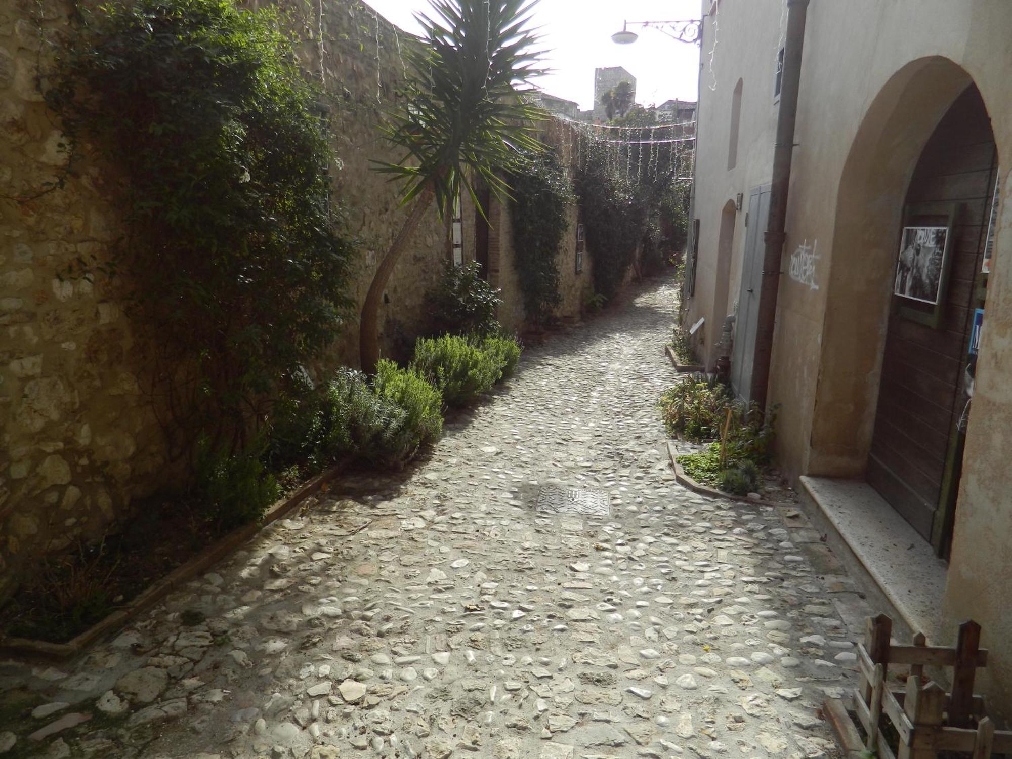 Casa Dell'Oliveto "Parcheggio Gratuito" Apartment Narni Bagian luar foto