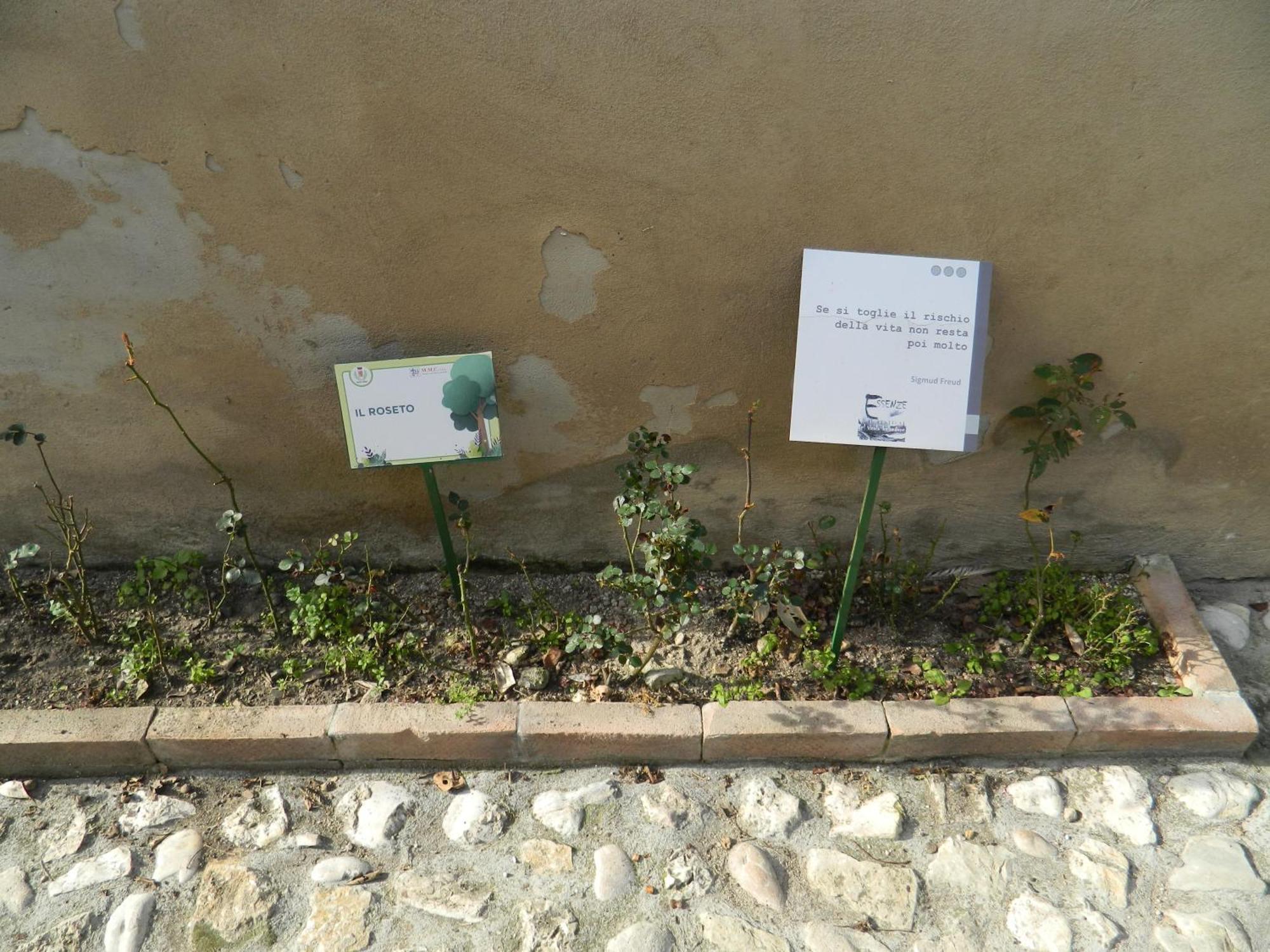Casa Dell'Oliveto "Parcheggio Gratuito" Apartment Narni Bagian luar foto