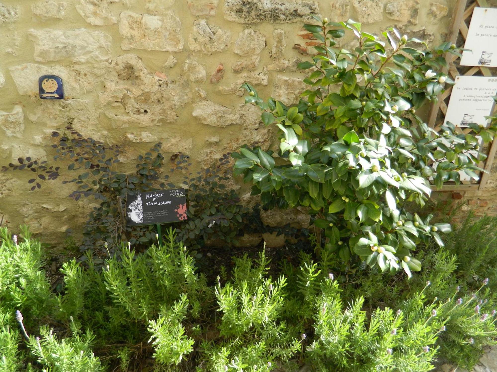 Casa Dell'Oliveto "Parcheggio Gratuito" Apartment Narni Bagian luar foto